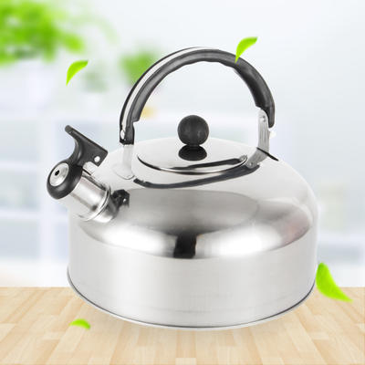 Stainless Steel 2.5L Whistle Kettle RGS-KD661