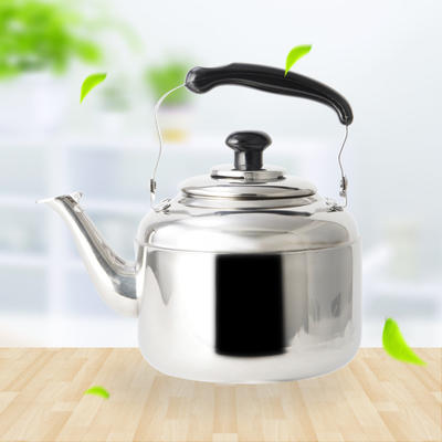 Stainless Steel Non-magnetic Kettle RGS-KD5291