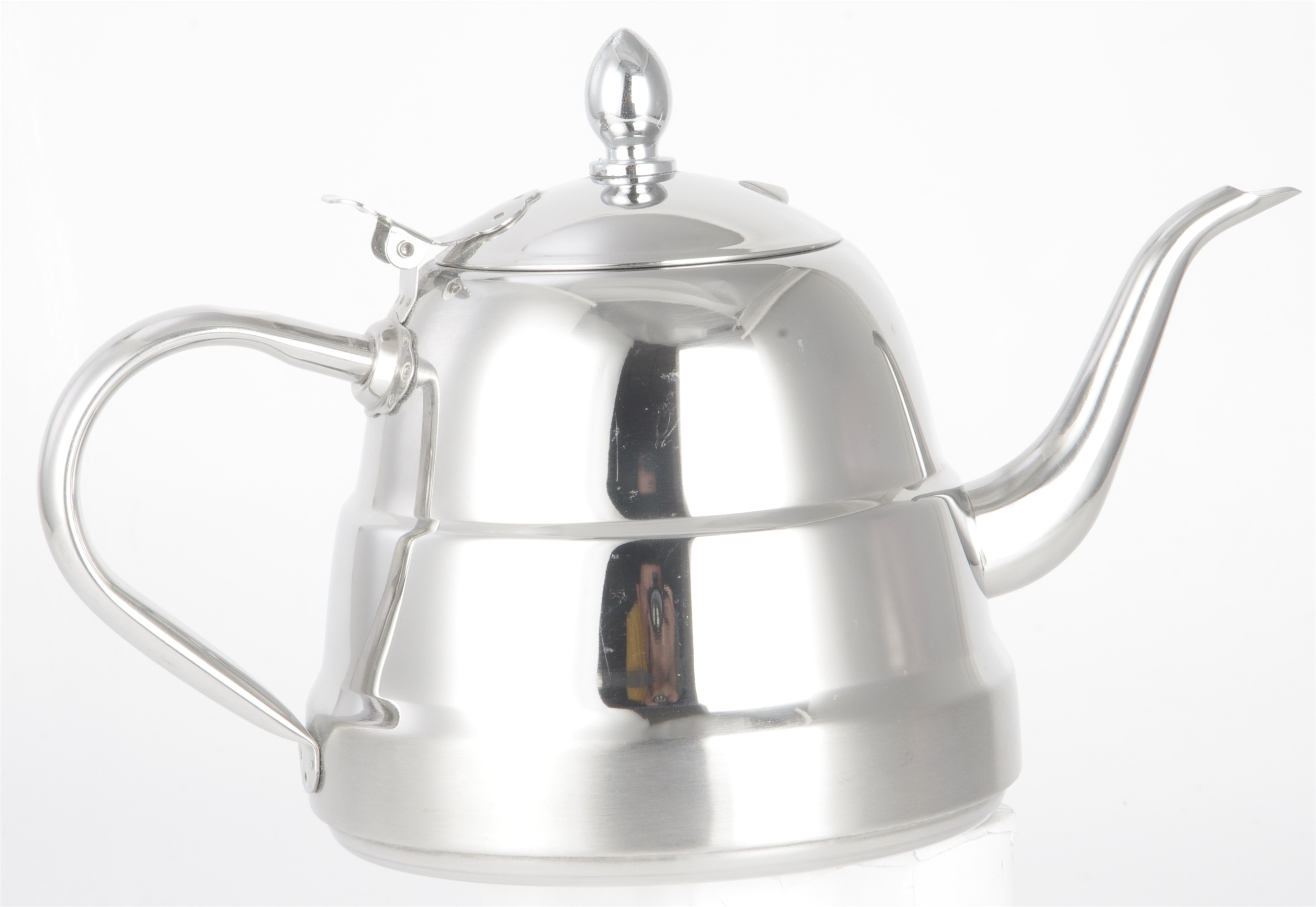 Evergreen brushed stainless tea kettle company for storage